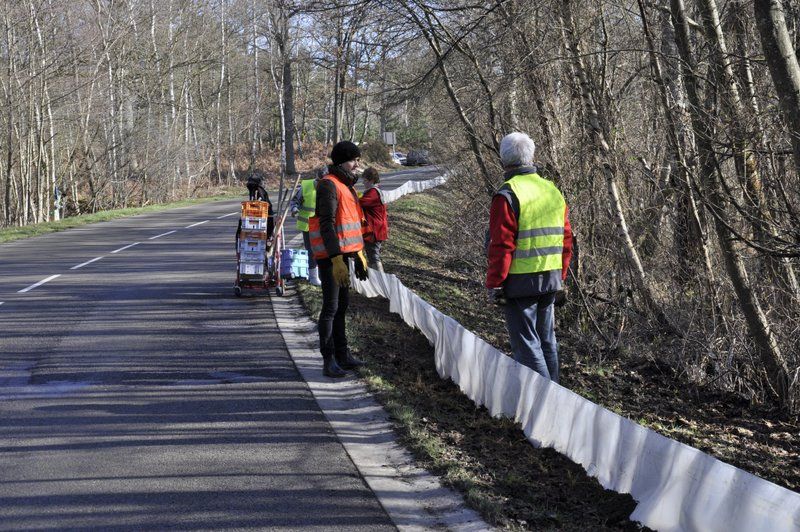 2013 02 25 Montage du crapaudrome 04